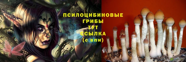 мескалин Арсеньев