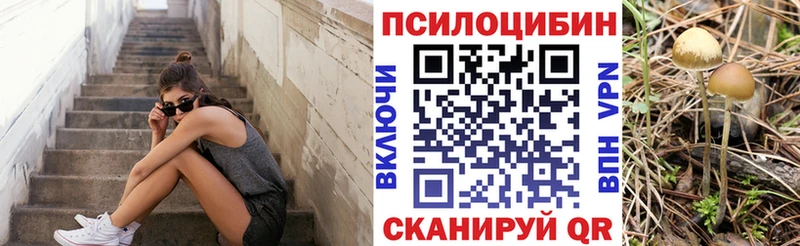 продажа наркотиков  Сегежа  Галлюциногенные грибы Magic Shrooms 